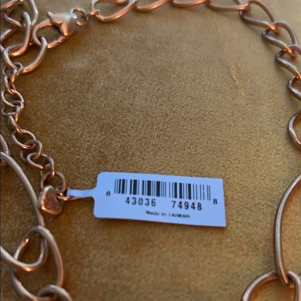 BRIGHTON Elegant Chain Necklace NWT. Cost $126 Heavy - Picture 3 of 10